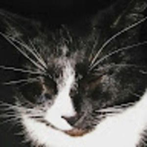 Meet your Posher, Katherine